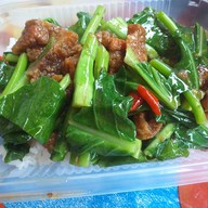 ติ๋วอาหารตามสั่ง กำแพงดิน เชียงใหม่