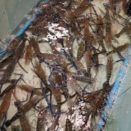 ปลาเผากุ้งเผาไฮโซ ดอนเมือง