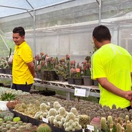 บรรยากาศ คุกกี้รันแคคตัส / CookieRunCactus Facebook.com/CookieRunCactus