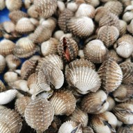 ปลาเผากุ้งเผาไฮโซ ดอนเมือง