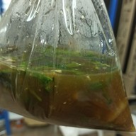 ร้านเนื้อตุ๋นกิวโร่