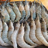 Sunny Shrimp กุ้งกระทะ Buffet กาดทรัพย์ทองคำ