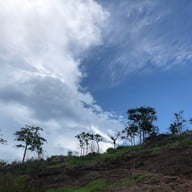 ทุ่งหญ้าสีทอง เขาหล่น นครนายก