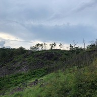 ทุ่งหญ้าสีทอง เขาหล่น นครนายก