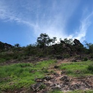 ทุ่งหญ้าสีทอง เขาหล่น นครนายก