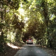 วังตะไคร้