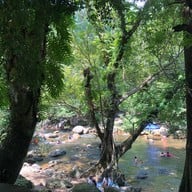 วังตะไคร้