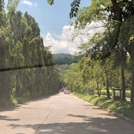 วังตะไคร้