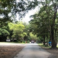 วังตะไคร้