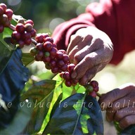 กาแฟเข้าท่า ภูเก็ต