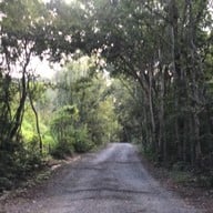 ทุ่งหญ้าสีทอง เขาหล่น นครนายก