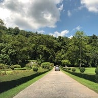 วังตะไคร้