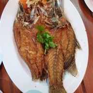 เมนูของร้าน ครัวสาริกา จ.นครนายก