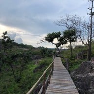 ทุ่งหญ้าสีทอง เขาหล่น นครนายก