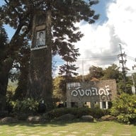 วังตะไคร้