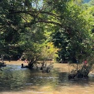 วังตะไคร้