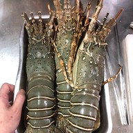 TOH R HAAN Bistro & Restaurant