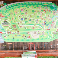Alpaca Hill