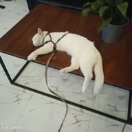 Bedhub Hotel Phichit