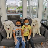BLABLAB๋OO Premium Dog Cafe @Ayutthaya คาเฟ่หมาที่ใหญ่ที่สุดในจังหวัดอยุธยา