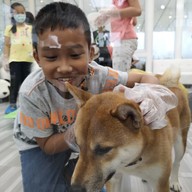 BLABLAB๋OO Premium Dog Cafe @Ayutthaya คาเฟ่หมาที่ใหญ่ที่สุดในจังหวัดอยุธยา