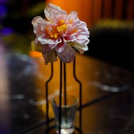 Matt Cafe & Bar