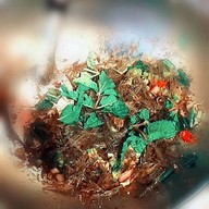 ร้าน ยำกุ้งเต้น Yum Kung Doong Restaurant