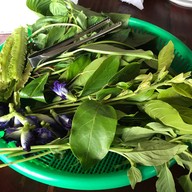 แม่หมีขนมจีนข้าวแกง