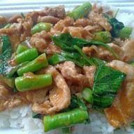 ครัวร่มไม้(ตามสั่ง-ป้าใจ)