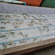 บรรยากาศ อิ่มจิตต์