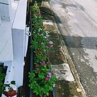 The Panwa Cafe n' Restaurant ภูเก็ตแหลมพันวา