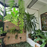 บรรยากาศ Mad Projects