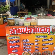 สายปลาแดก