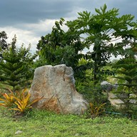 บรรยากาศ BerryCU Farm