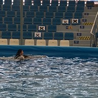 Pattaya Dolphinarium