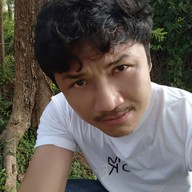 อุโมงค์ต้นสน