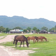 ลานเนินนุ่ม