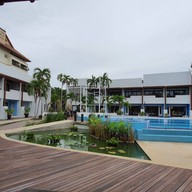 Kocchira