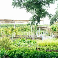 บรรยากาศ Craft Salad ราชบุรี