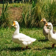 บรรยากาศ Craft Salad ราชบุรี