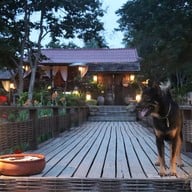 บ้านนาต้นจั่น