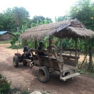บ้านนาต้นจั่น