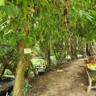 บ้านสวนสุวรรณ รีสอร์ท