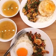 ต้นกะเพรา แก่งคอย