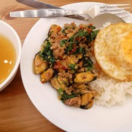 ต้นกะเพรา แก่งคอย