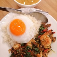 ต้นกะเพรา แก่งคอย