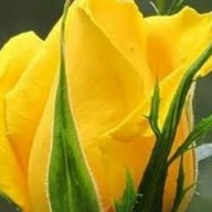 ครัวพอเพียง@บ่อสร้าง