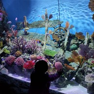 Sea Life Melbourne Aquarium
