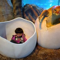 Sea Life Melbourne Aquarium