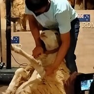 The Scenery Vintage Farm